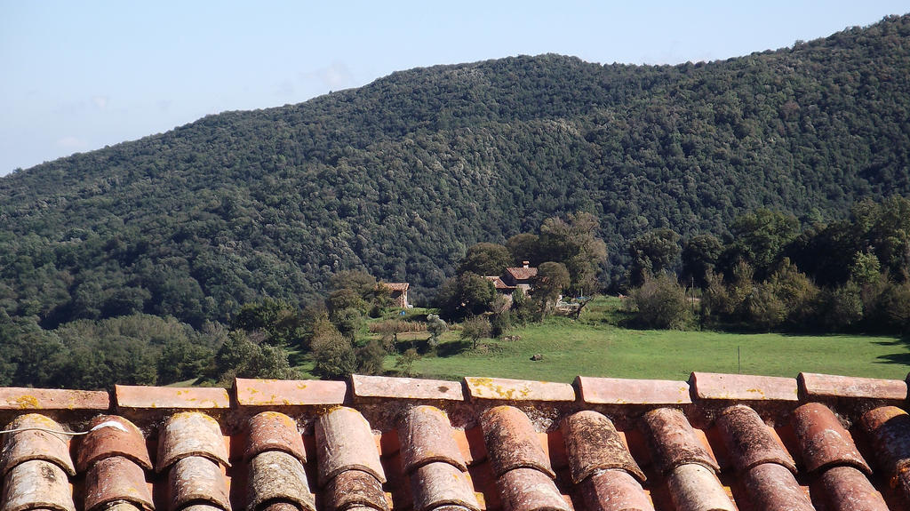 Can Salgueda Santa Pau Room photo