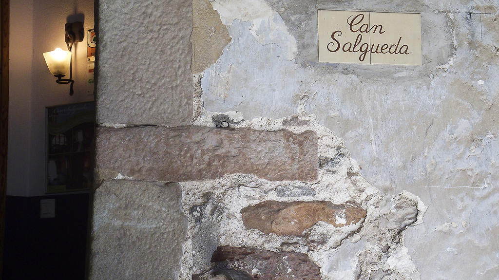 Can Salgueda Santa Pau Room photo